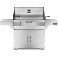 גריל פחמים מקצועי מנירוסטה – CHARCOAL PROFESSIONAL IL