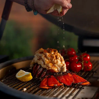 🔥 Kamado Joe Big Joe Konnected Joe – גריל קמאדו קרמי דיגיטלי 24 אינץ' עם הצתה אוטומטית, Wi-Fi ואפליקציה