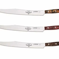 PREMIUMCUT SLICER - סכין פילוט 31 ס