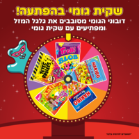 סוויטבוקס Wonderland - חלום שמתגשם! - (L)