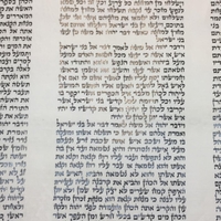 New sfarad sefer Torah klaf size 56