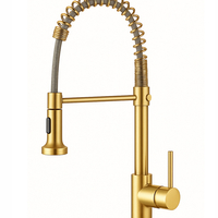 ברז מטבח נשלף זהב דגם נאפולי | אחריות 5 שנים | 2 מצבי זרימה | אספקה מהירה