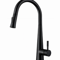 ברז מטבח נשלף גימור שחור מט רומא