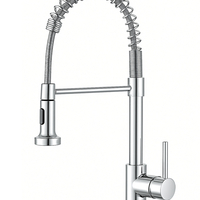 ברז מטבח נשלף גימור ניקל מבריק נאפולי