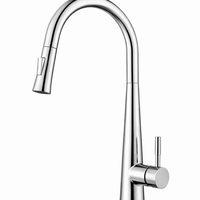 ברז מטבח נשלף גימור ניקל מבריק רומא