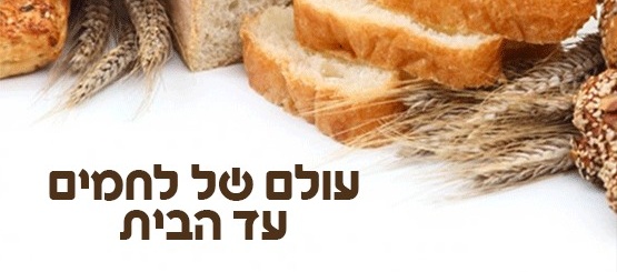 ראשי