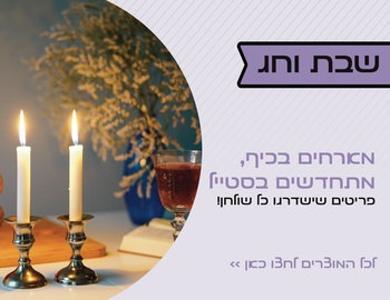 שבת וחג