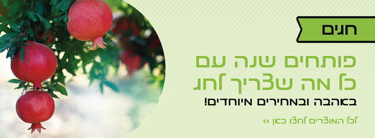 חגי תשרי