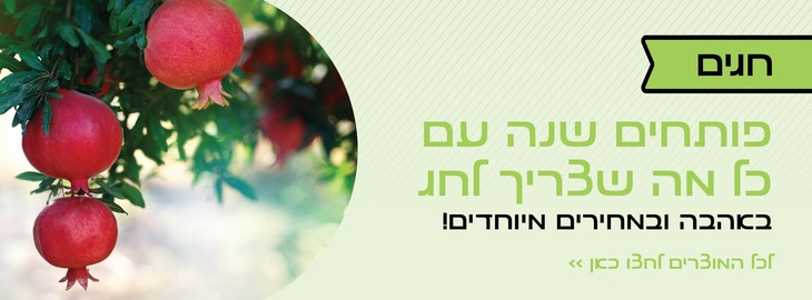 חגי תשרי