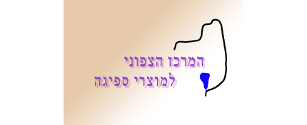המרכז הצפוני למוצרי ספיגה