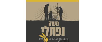 משק נפתלי- הנוטרים- שמן זית גולני