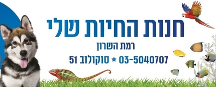 חנות החיות שלי