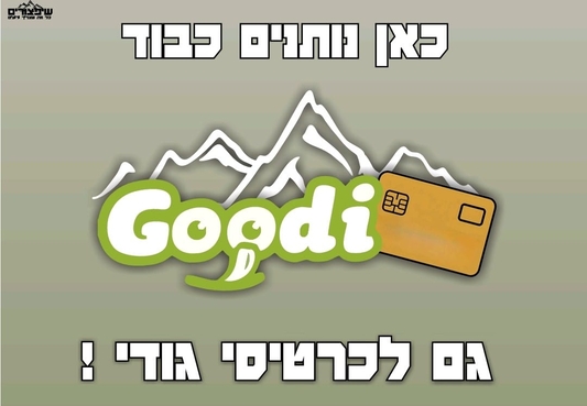 מבצע גודי