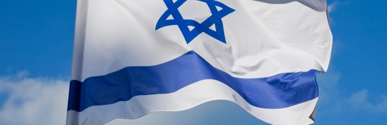 כל הדגלים
