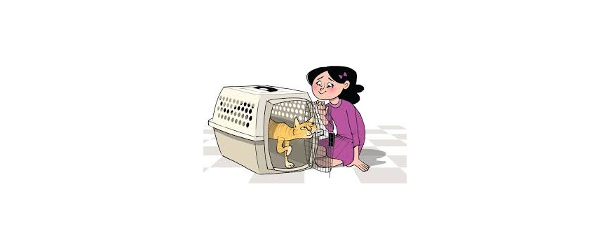 מנשאים ושירותים