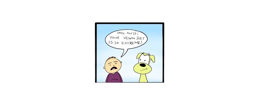 שימורים ומעדנים