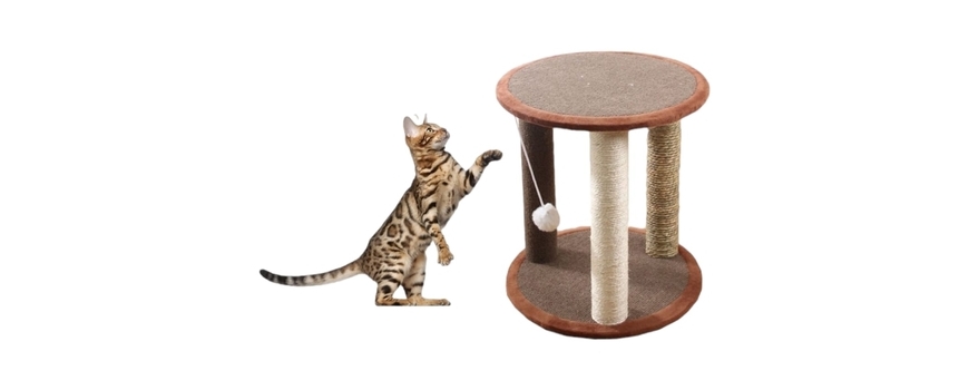 מתקני גירוד לחתול