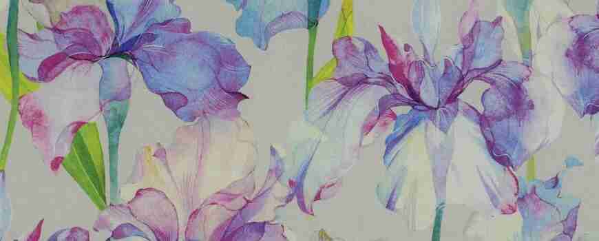 מה חדש אצלנו