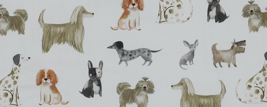 כותנה ילדים