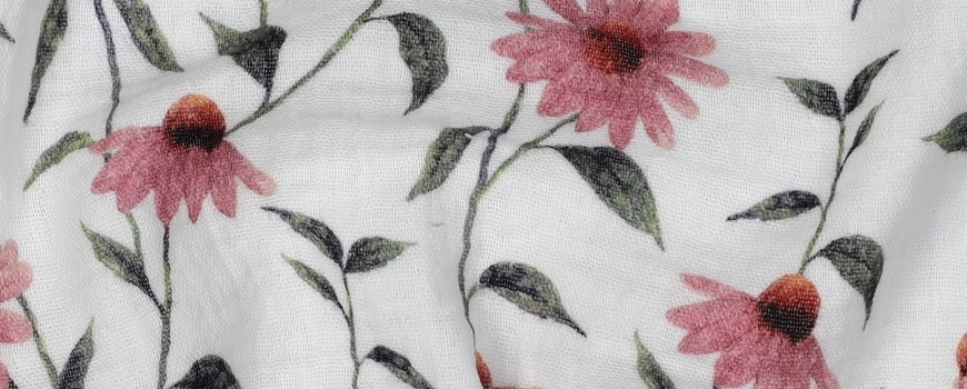 מה חדש אצלנו