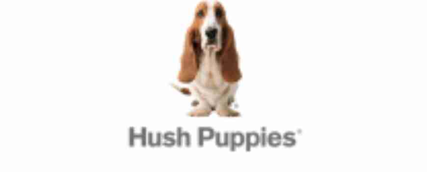 Hush Puppies | האש פפיס