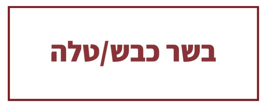 בשר כבש/טלה