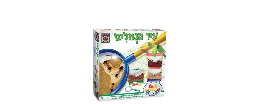 משחקי למידה