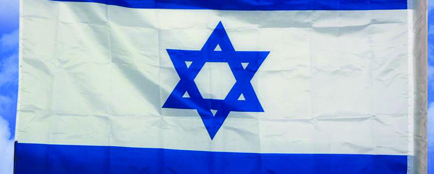 דגלים