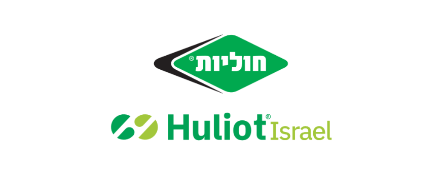 חוליות