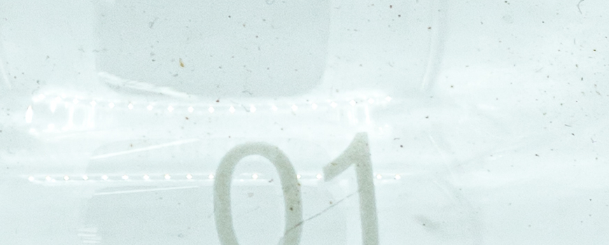 קנקנן זכוכית לפילטר