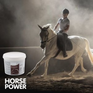 HORSE POWER מוצרים טיפוליים לסוסים