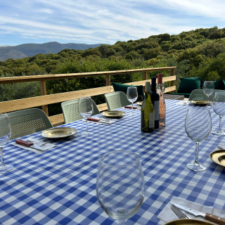 Boutique events and workshops