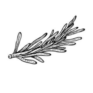 ירק ועשבי תיבול טריים