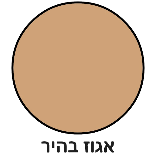 אגוז בהיר