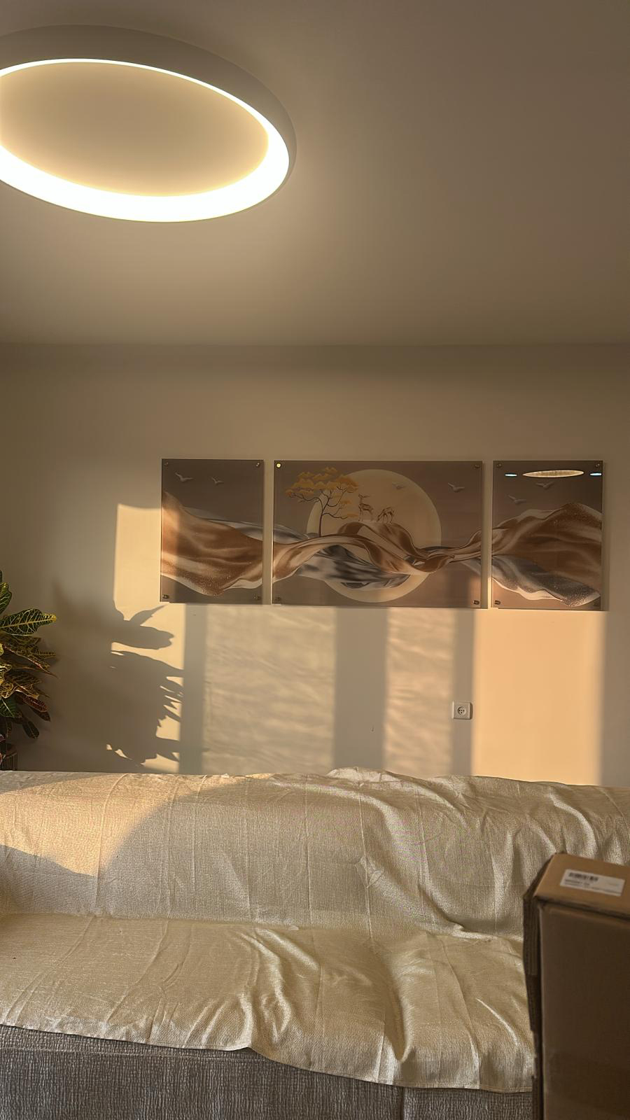 תמונת זכוכית לסלון