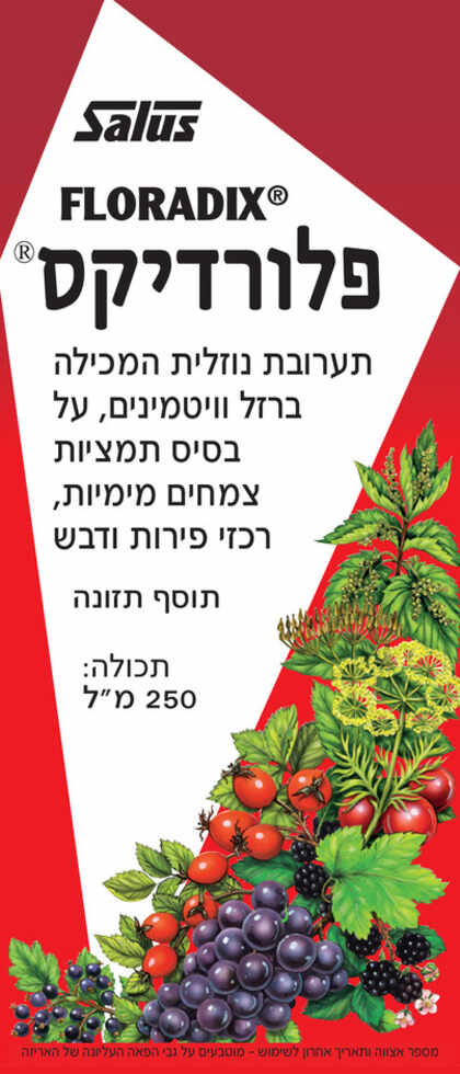 פלורדיקס ברזל נוזלי עדין 250 מ"ל