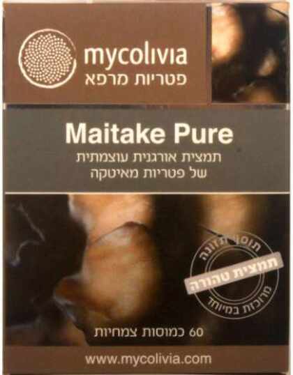 מאיטקה פיור - פטריית המרפא מאיטקה Maitake Pure