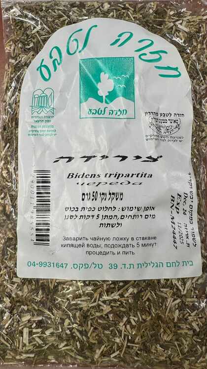חליטת צ'רידה חזרה לטבע