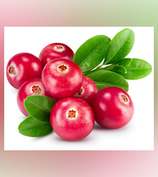 חמוציות קפואות 1 ק