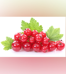 דומדמניות אדומות קפואות  1 ק