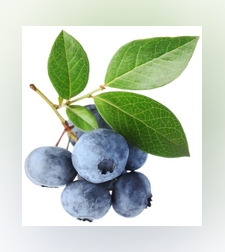 דומדמניות שחורות קפואות 1 ק