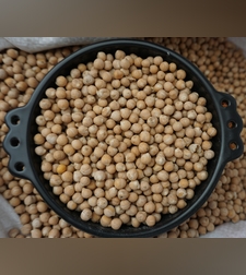 גרגירי חומוס שלם- ሽምብራ