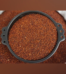 דגנה קרקני - (דגוסה)ዳጉሣ-