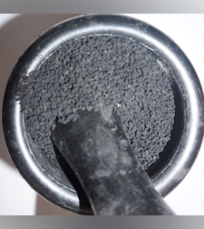 קצח הגינה- (טְקוּר אַזְמוּד)ጥቁር አዝሙድ