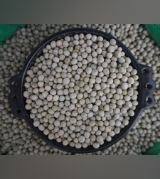 אפון ירוק שלם (אתר)አተር