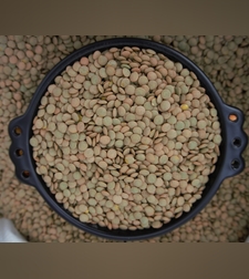 עדשים ירוקים- (מְסֵר)ምስር