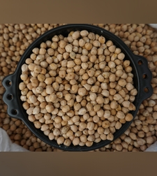 גרגירי חומוס מקסיקני- ሽምብራ  