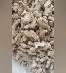 זנגביל רפואי-ዝንጅብል