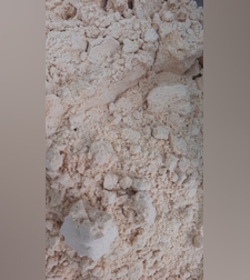 קמח שיבולת שועל- (אַגַ'ה)አጀ