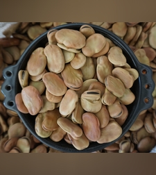 פול גדול- (בַּקֵלַה)ባቄላ